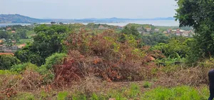 Plot on Sale at Entebbe
