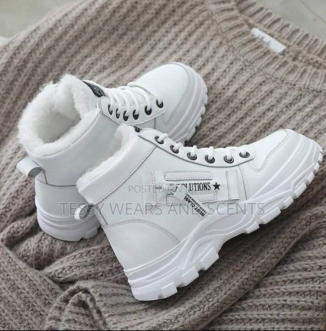 Evolution 37-42