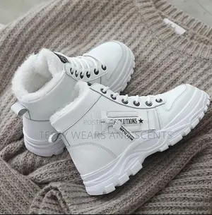 Evolution 37-42
