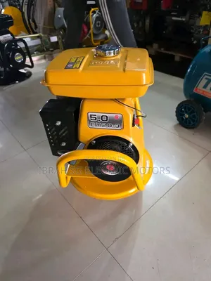 Original Gasoline Concrete Vibrator With Poker