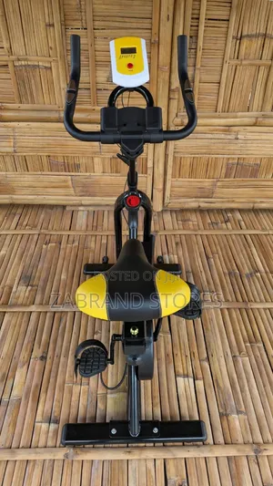 Indoor Stationary Exercise Bike