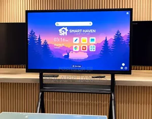 Interactive Screen 65