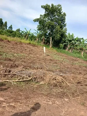 Plot on Sale at Gombe Kitungwa