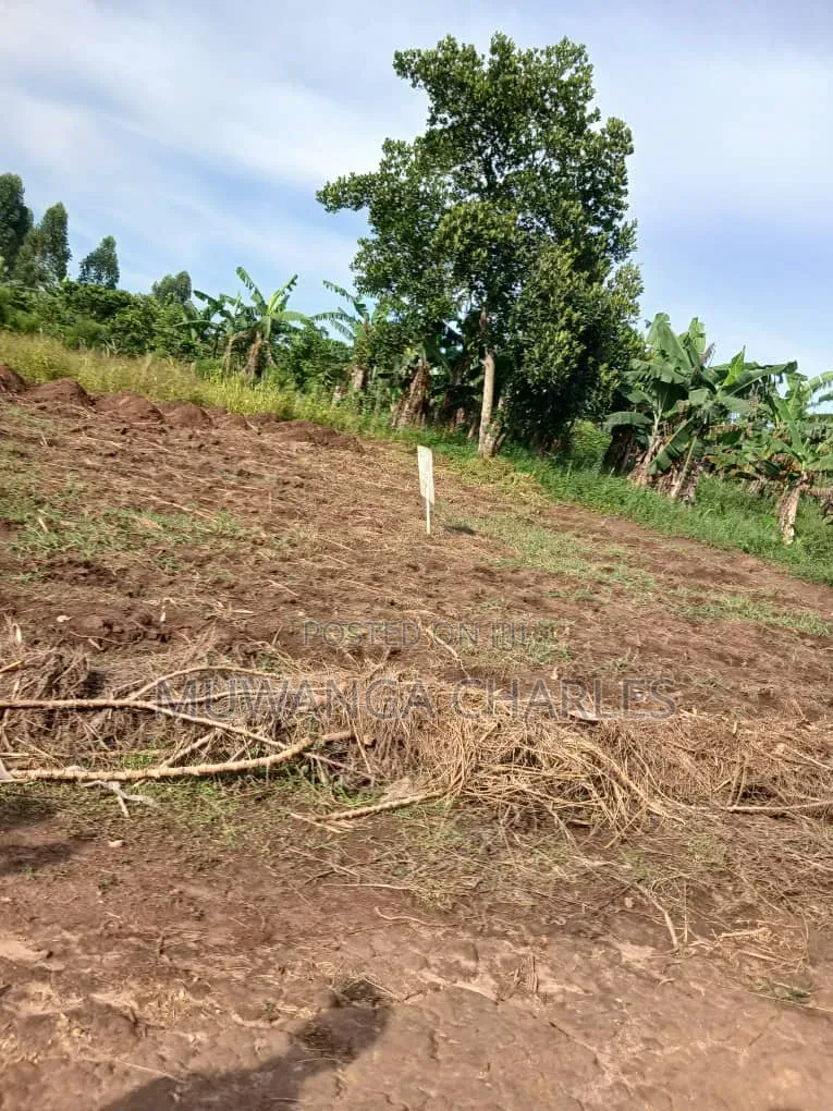 Plot on Sale at Gombe Kitungwa