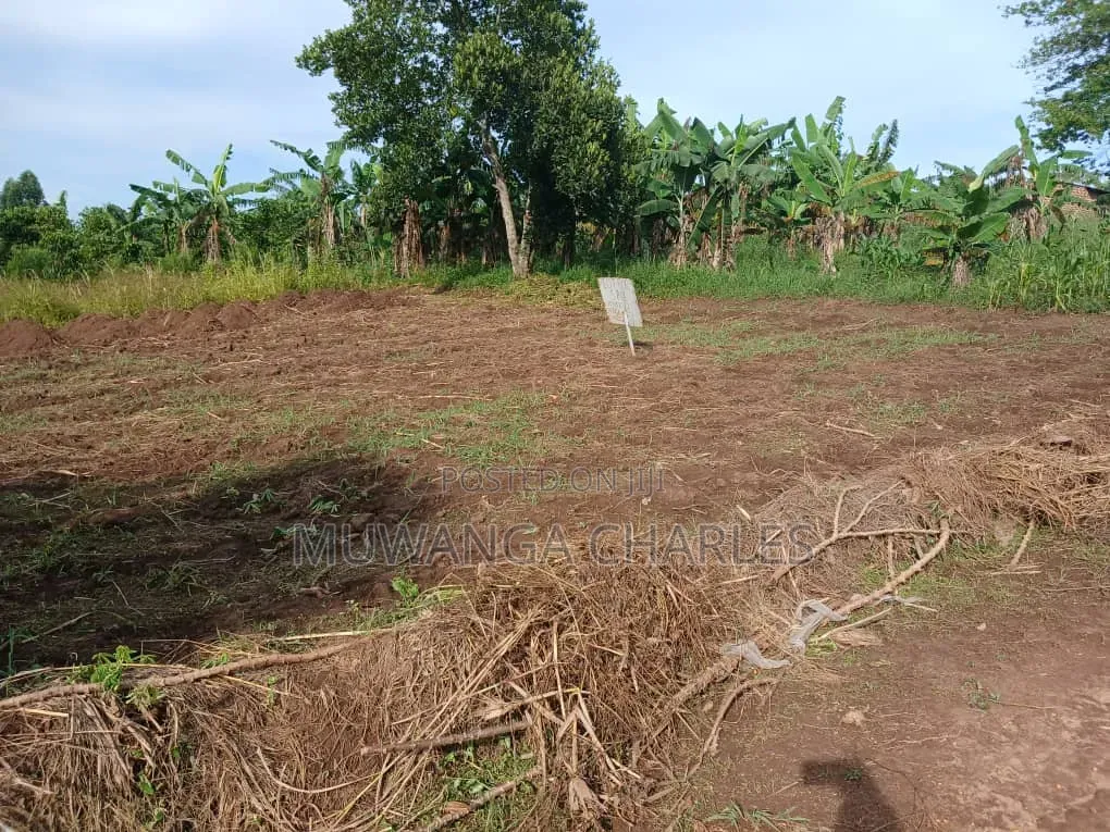 Plot on Sale at Gombe Kitungwa