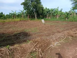 Plot on Sale at Gombe Kitungwa