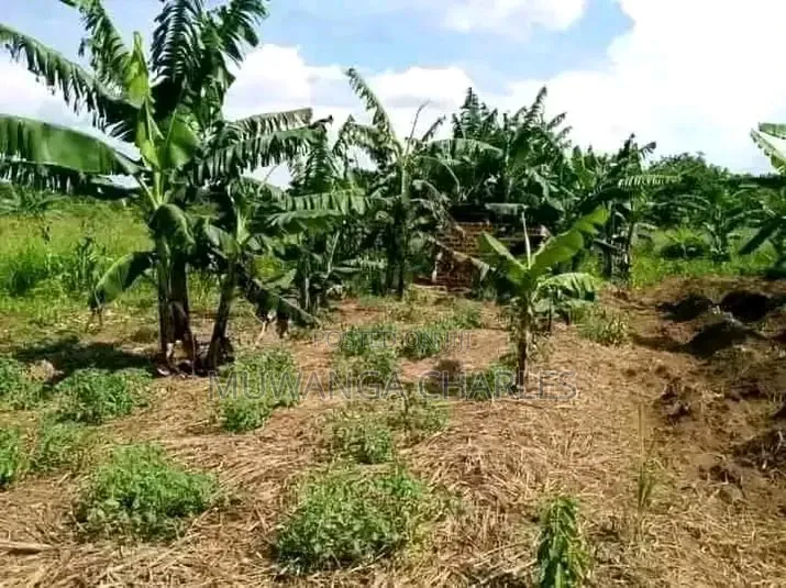 Plot on Sale at Gombe Kitungwa
