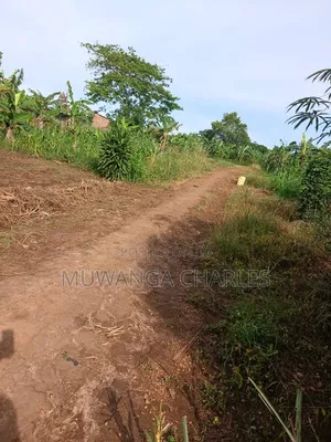 Plot on Sale at Gombe Kitungwa