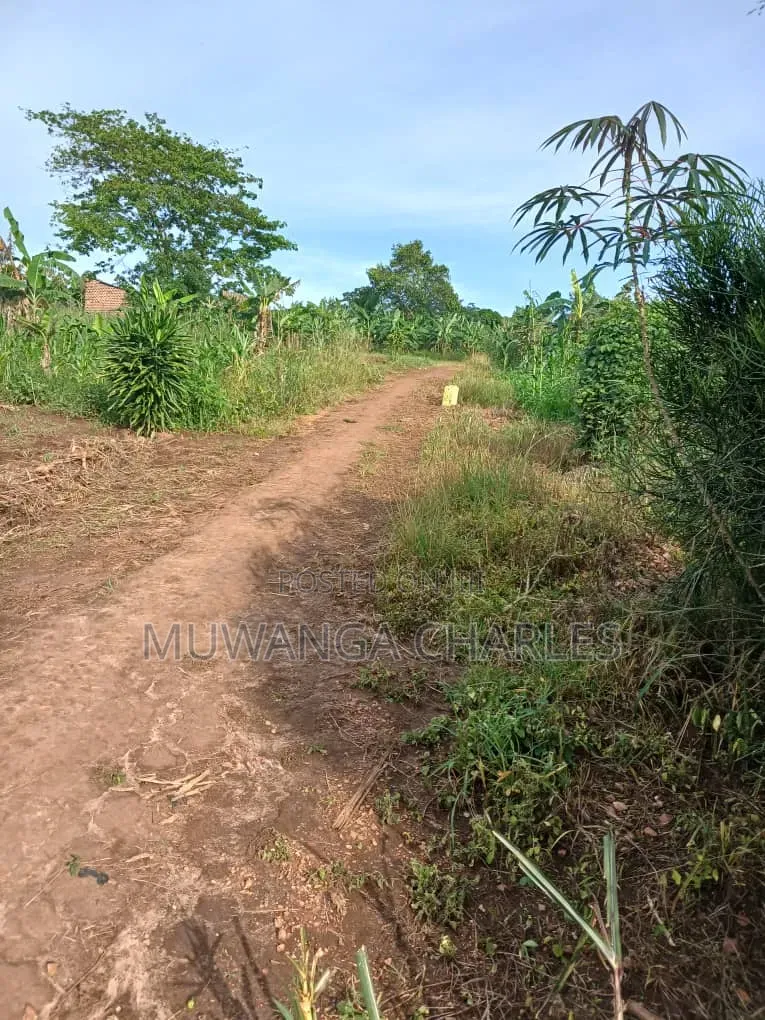 Plots on Sale at Matugga Semuto Road Gombe