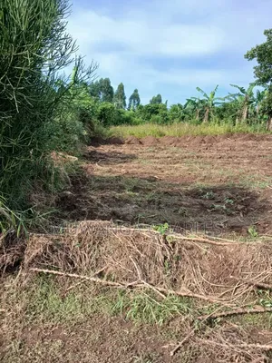 Plots on Sale at Matugga Semuto Road Gombe
