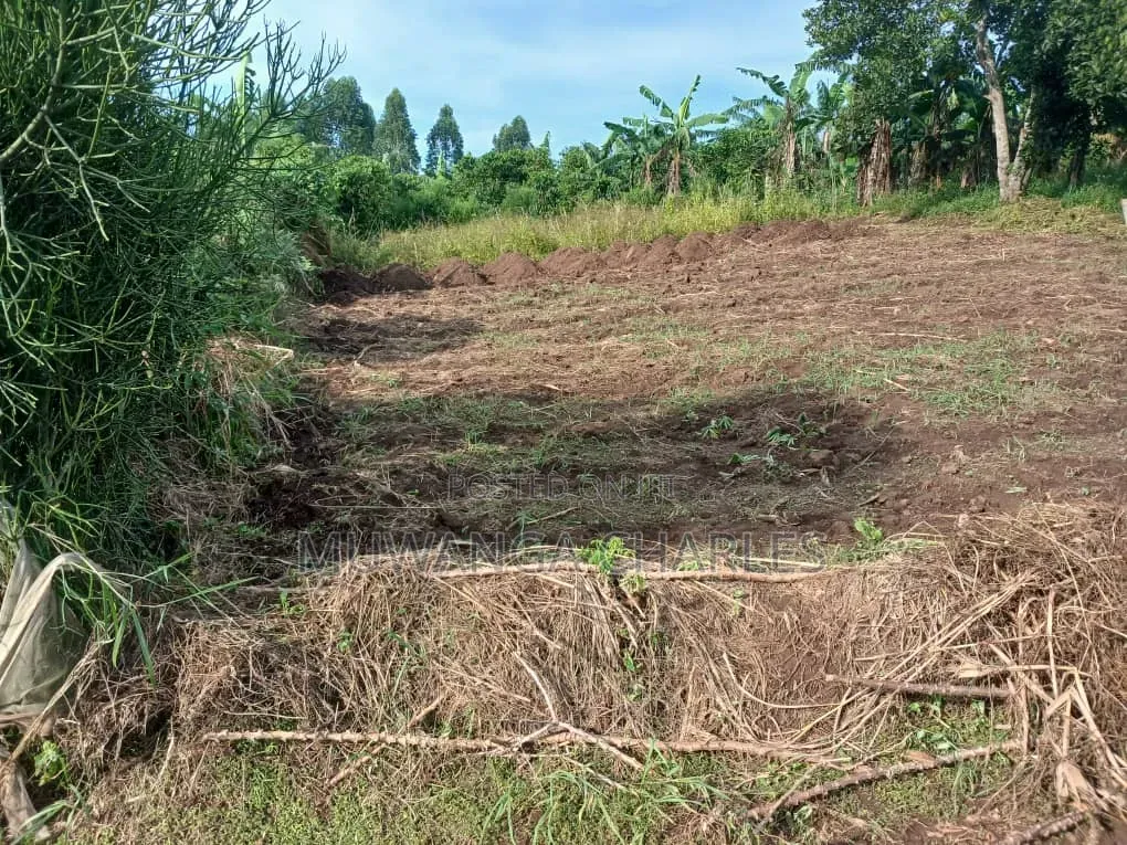 Plots on Sale at Matugga Semuto Road Gombe