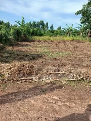 Plots on Sale at Matugga Semuto Road Gombe