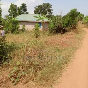 50 by 100 Plot