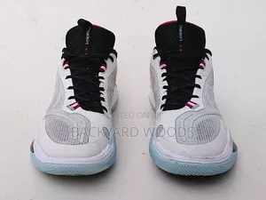 Li-Ning D Wade