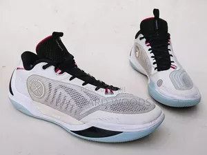 Li-Ning D Wade