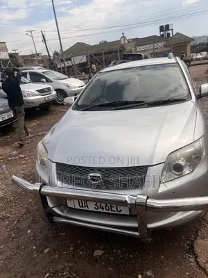 Toyota Corolla Fielder 2009 Silver