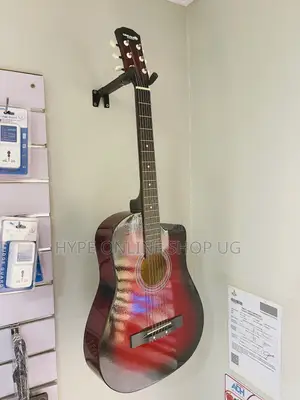 Brandnew Dream Maker Acoustic Guitar 2025 Model