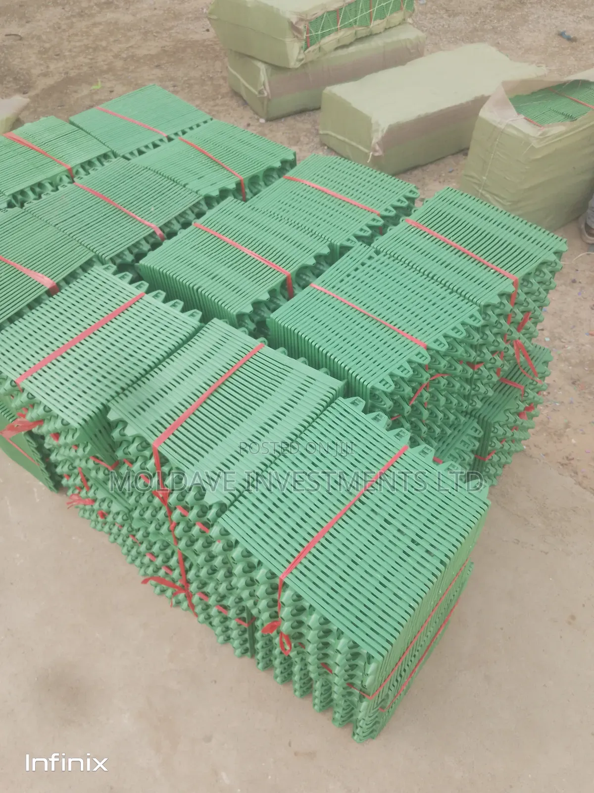 Trays of Eggs