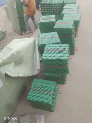 Trays of Eggs