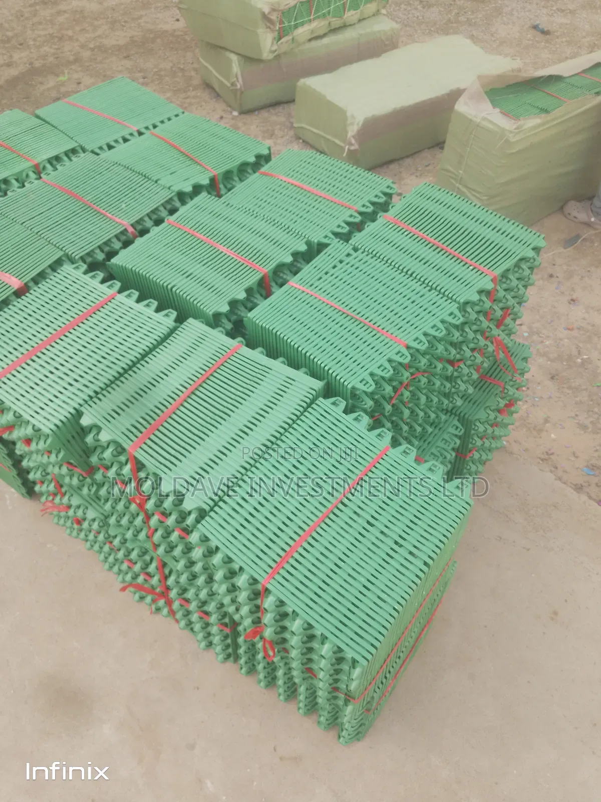 Trays of Eggs
