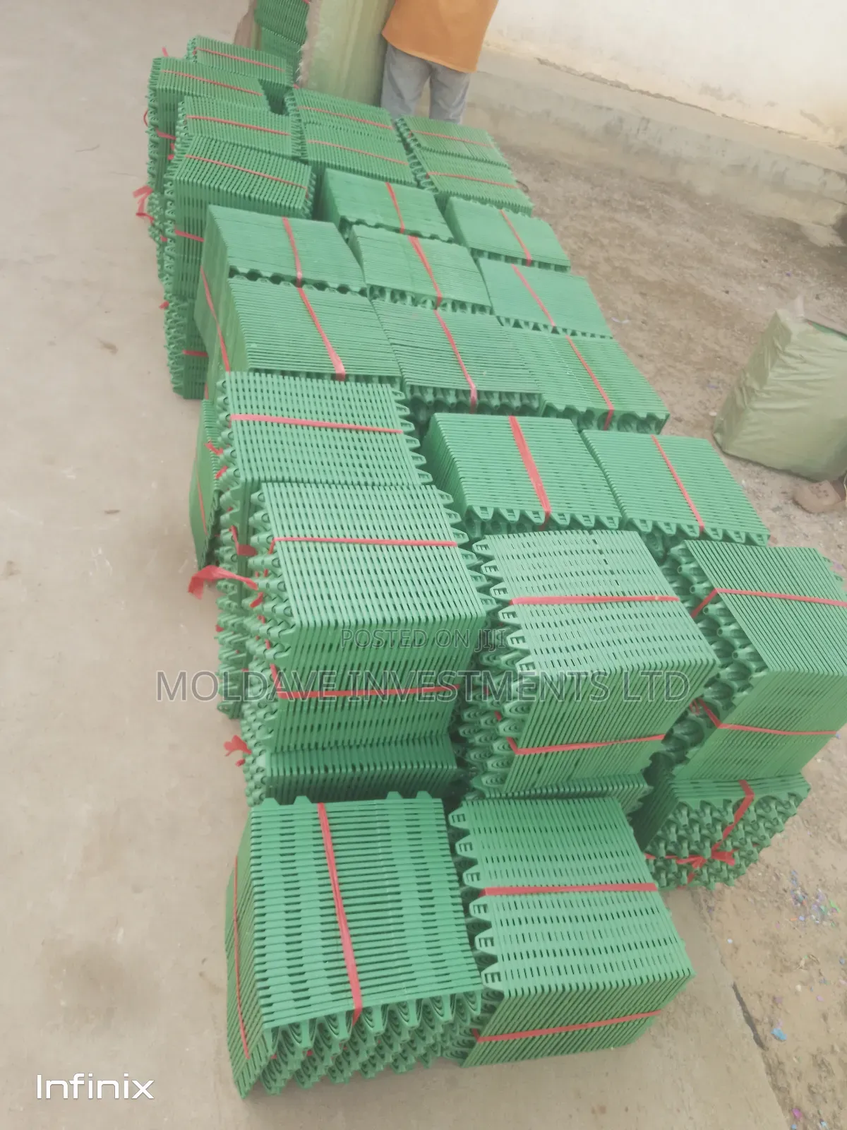Trays of Eggs