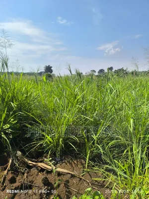 Fertile Soils for Farm Land