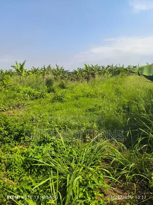 Fertile Soils for Farm Land