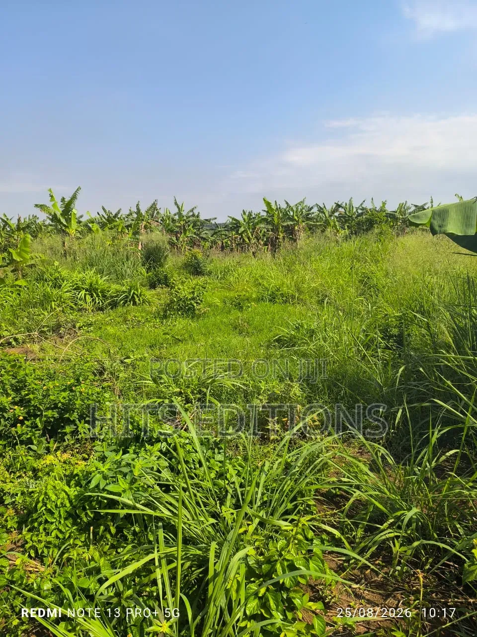 Fertile Soils for Farm Land
