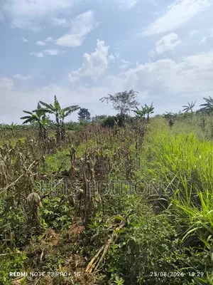 Fertile Soils for Farm Land