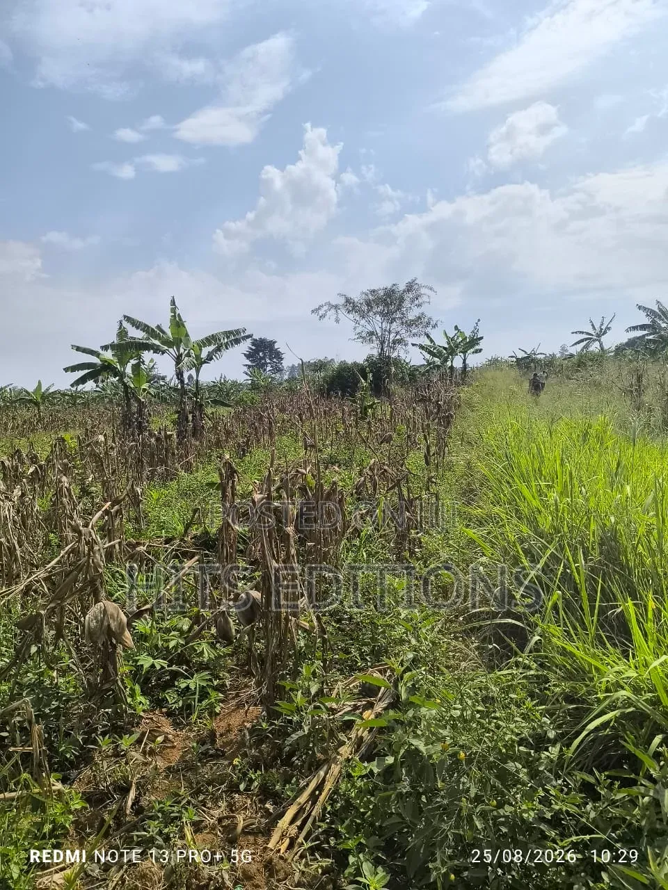 Fertile Soils for Farm Land