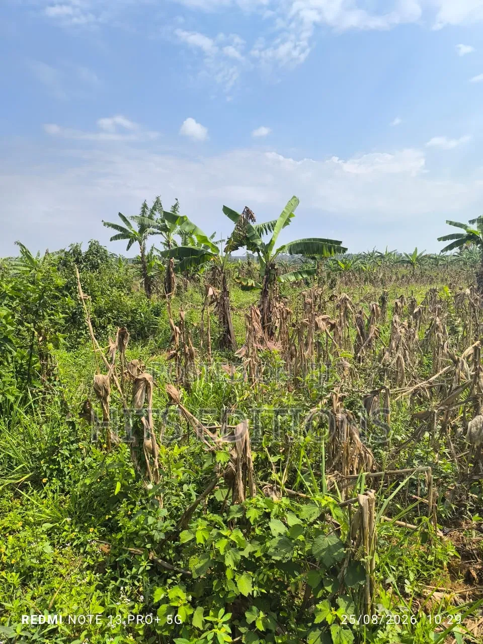 Fertile Soils for Farm Land