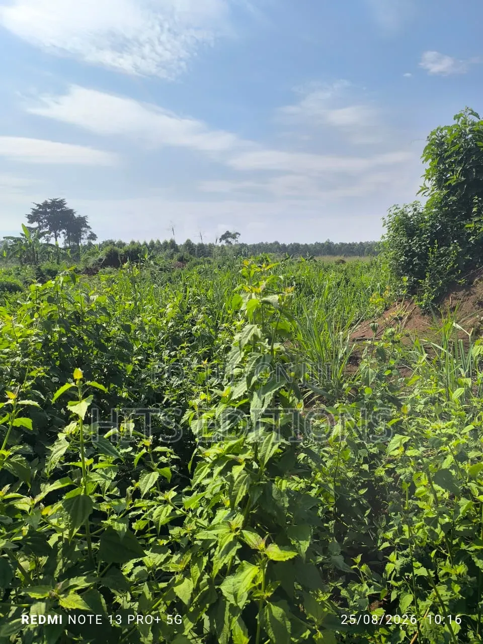 Fertile Soils for Farm Land