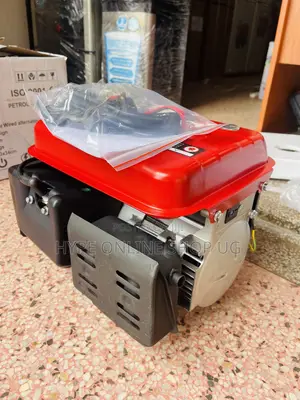 Brandnew Electromax High Pump Portable 800watts Generator