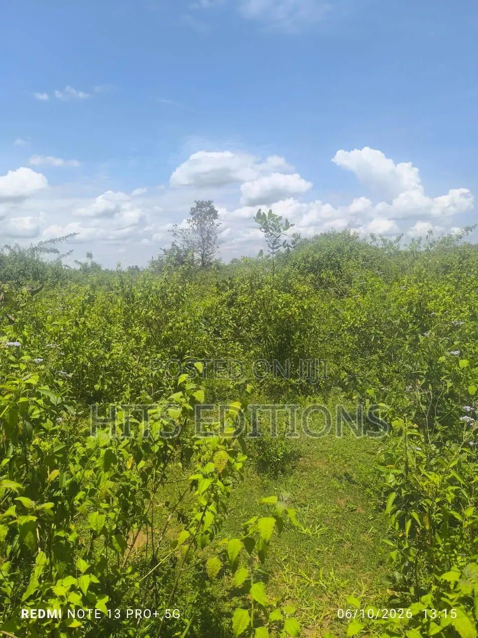For Agricultural Purposes