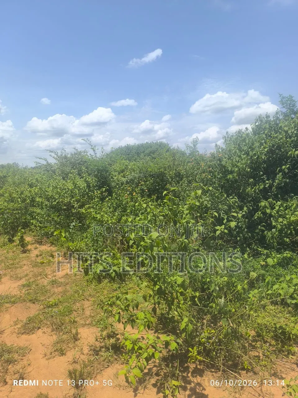 For Agricultural Purposes