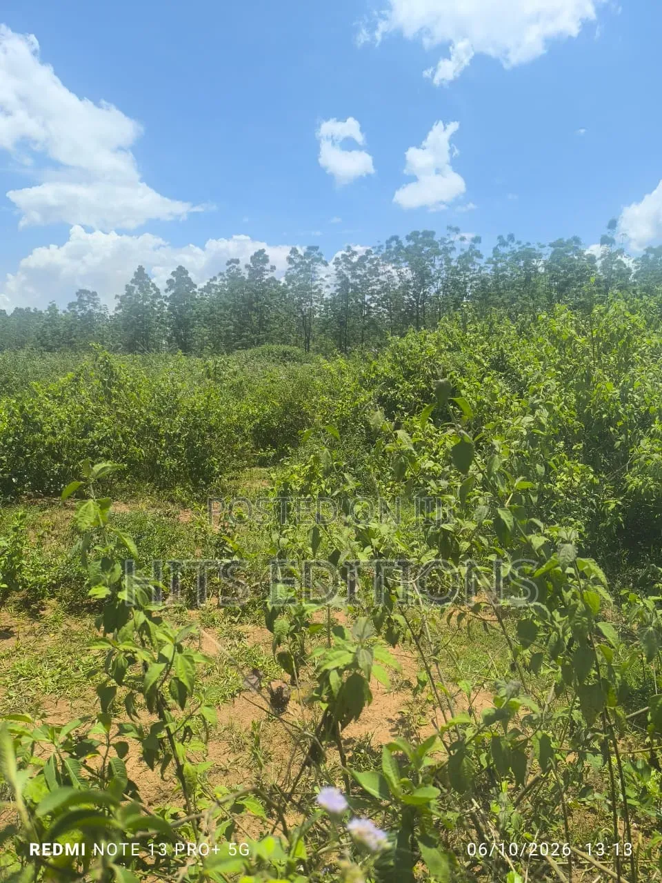 For Agricultural Purposes