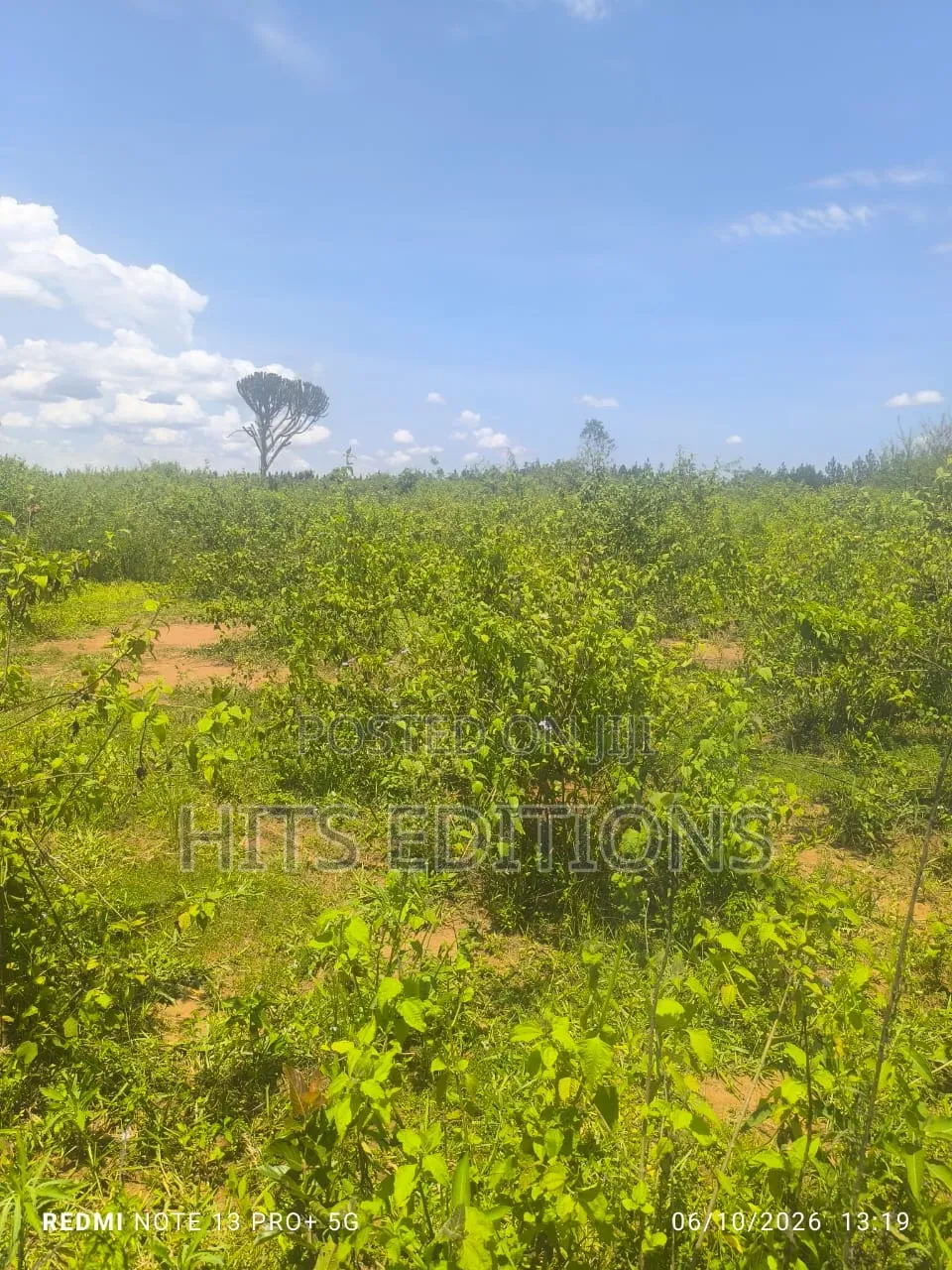 For Agricultural Purposes