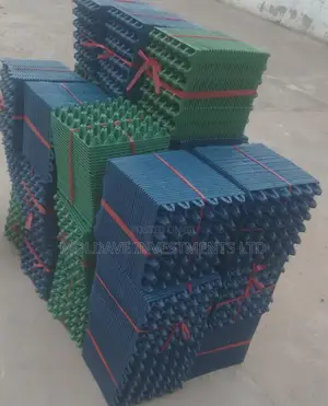 Trays of Eggs