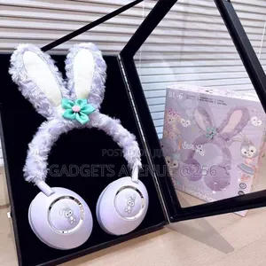 BL-6 Super Bass Headphones,