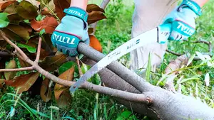 Pruning Saw 330mm(13")