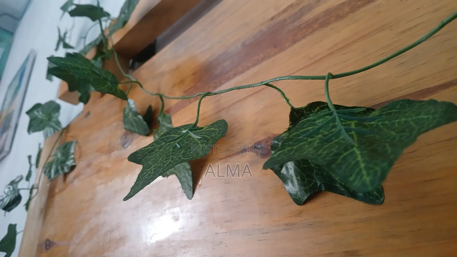 Green Vine Leaves