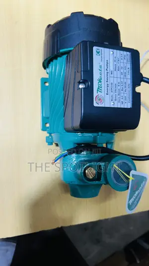 Mokeeta Surface Water Pump