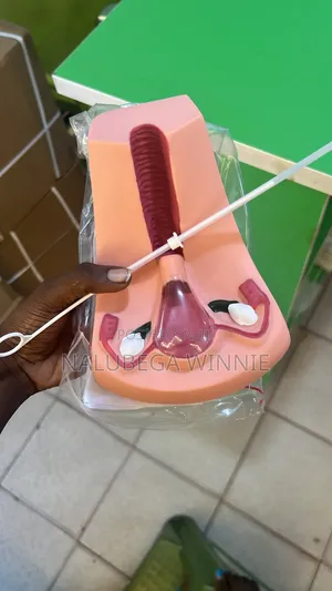Iud Teaching Model