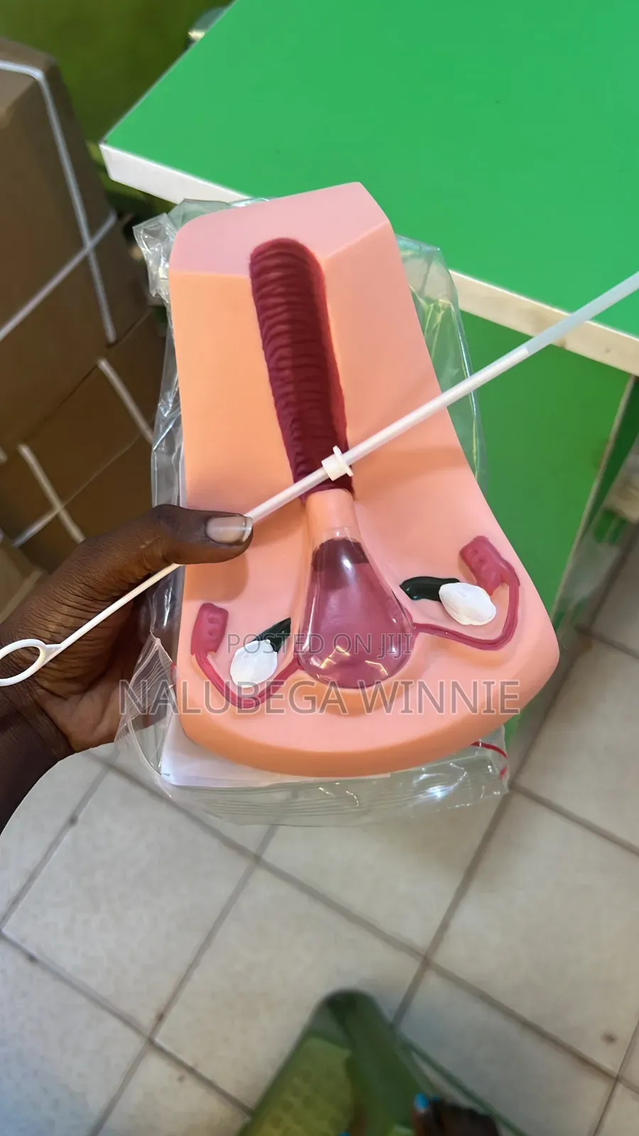 Iud Teaching Model