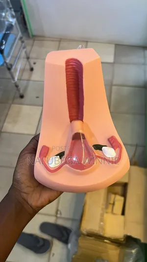 Iud Teaching Model