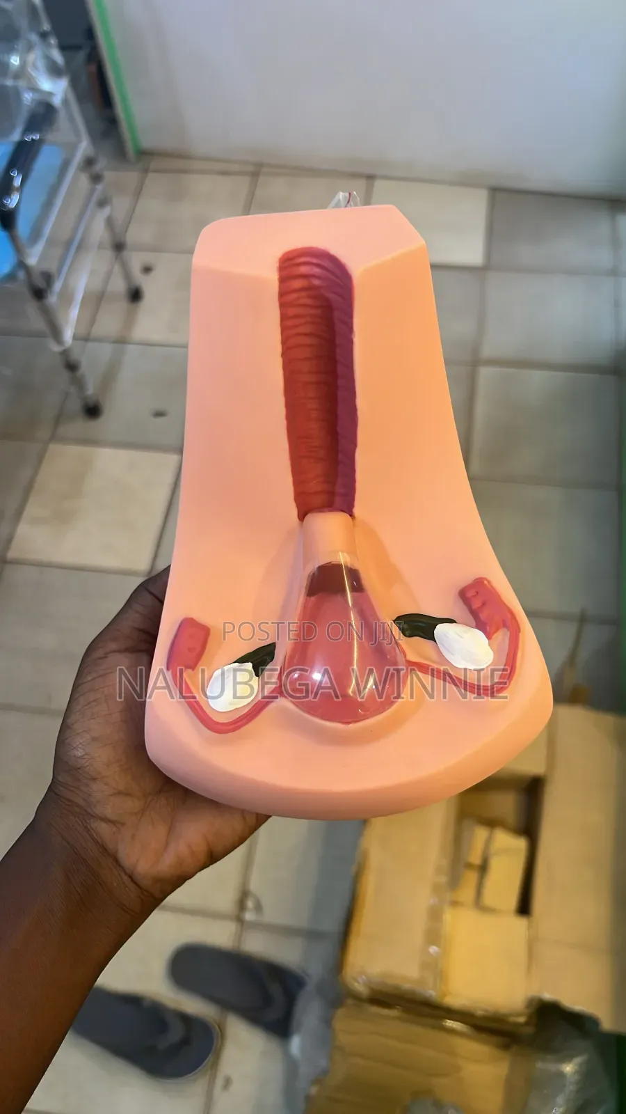 Iud Teaching Model