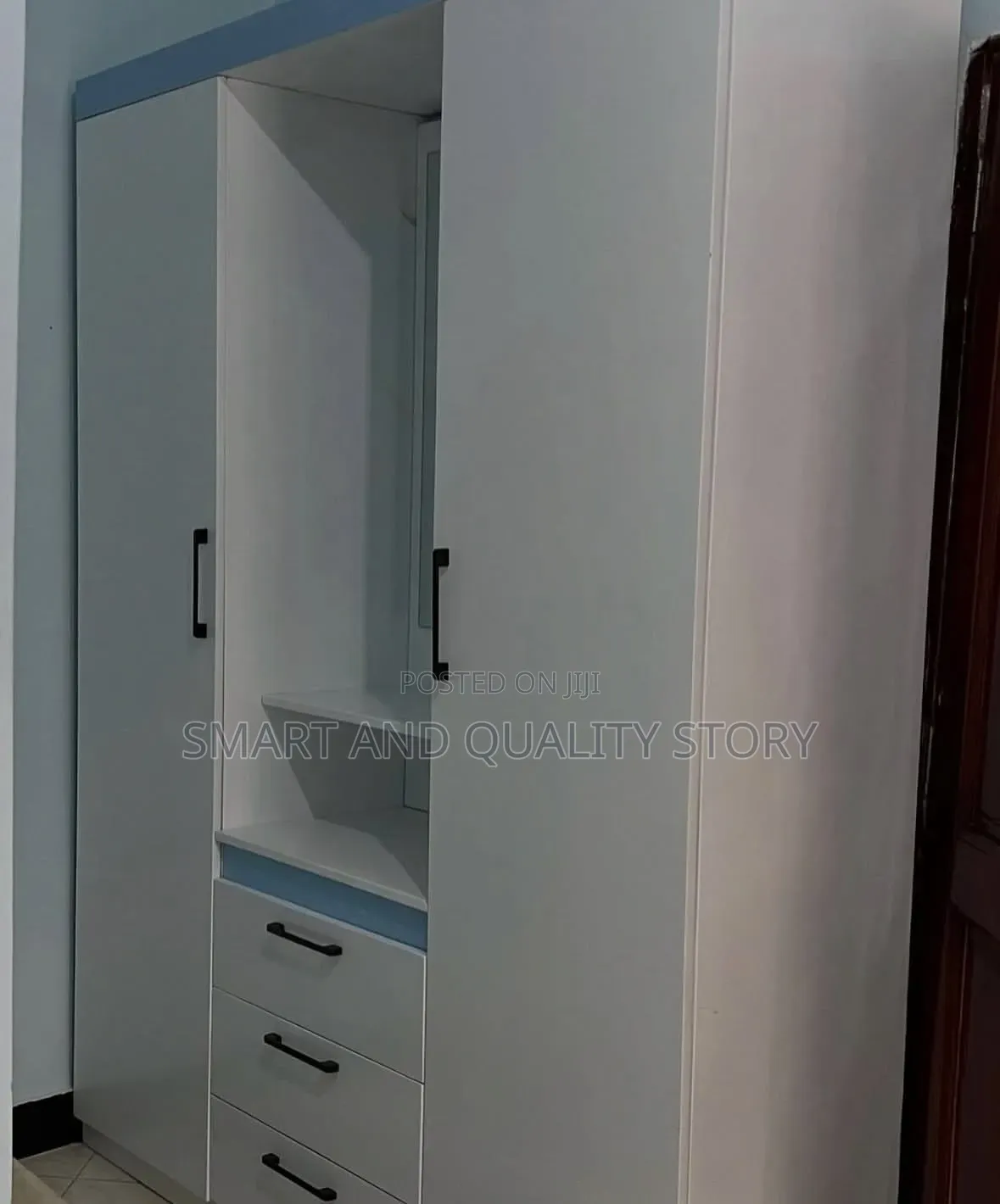 Wardrobe Mount/Wardrobes/White and Blue 4567