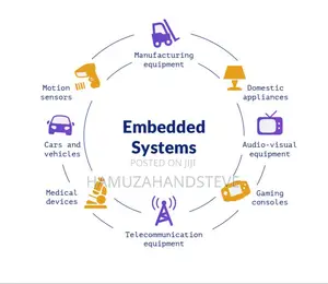 Expert Software Engineering Services | Kampala & Remote