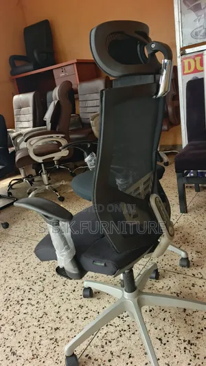 Egonomic Mesh Chair