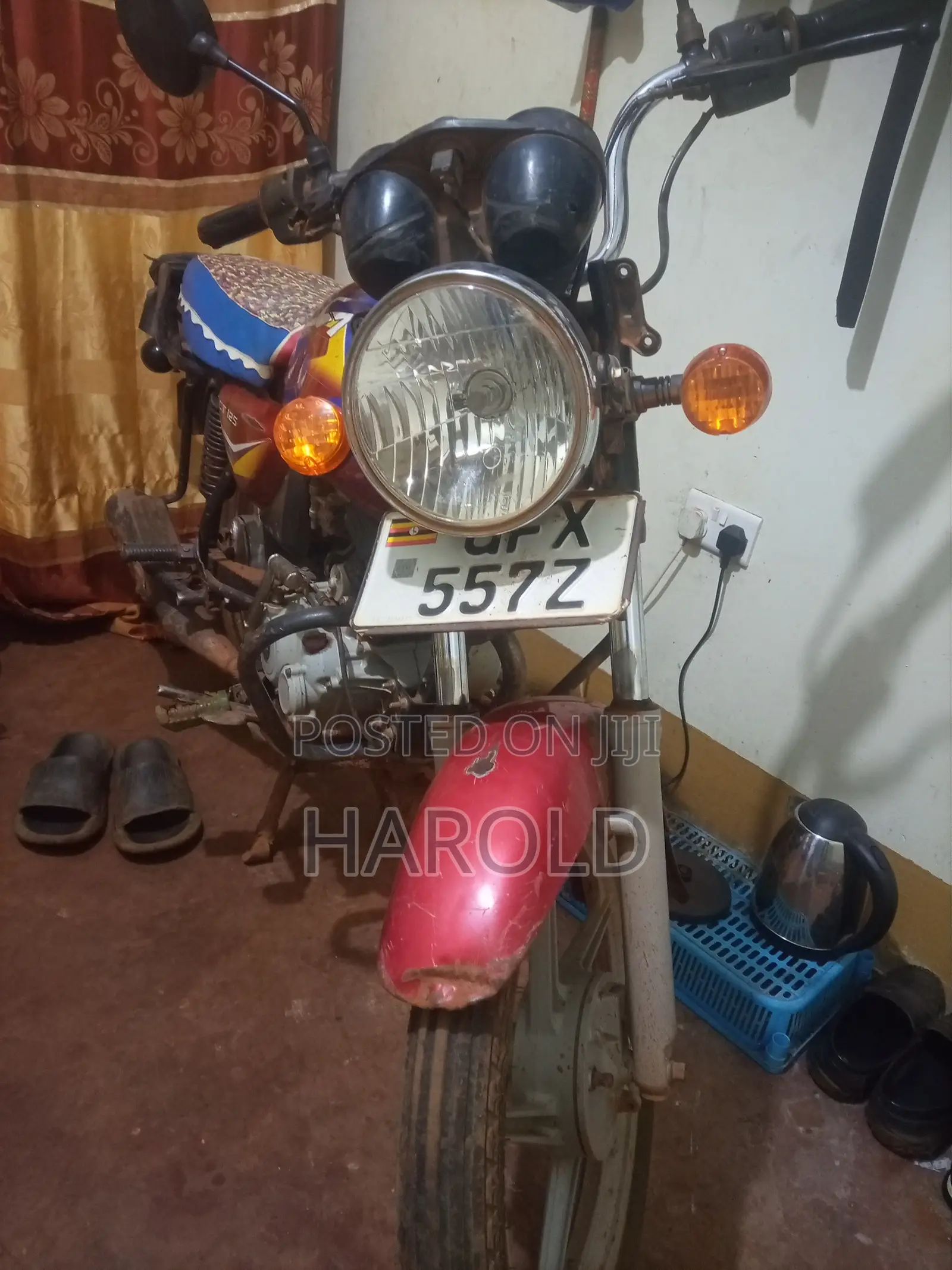 Bajaj CT 125X 2023 Red